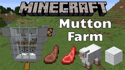 minecraft mutton|minecraft mutton farm.